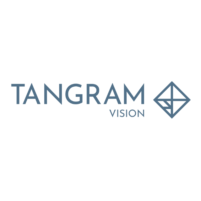 Tangram Vision